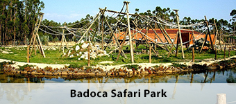 Badoca Safari Park