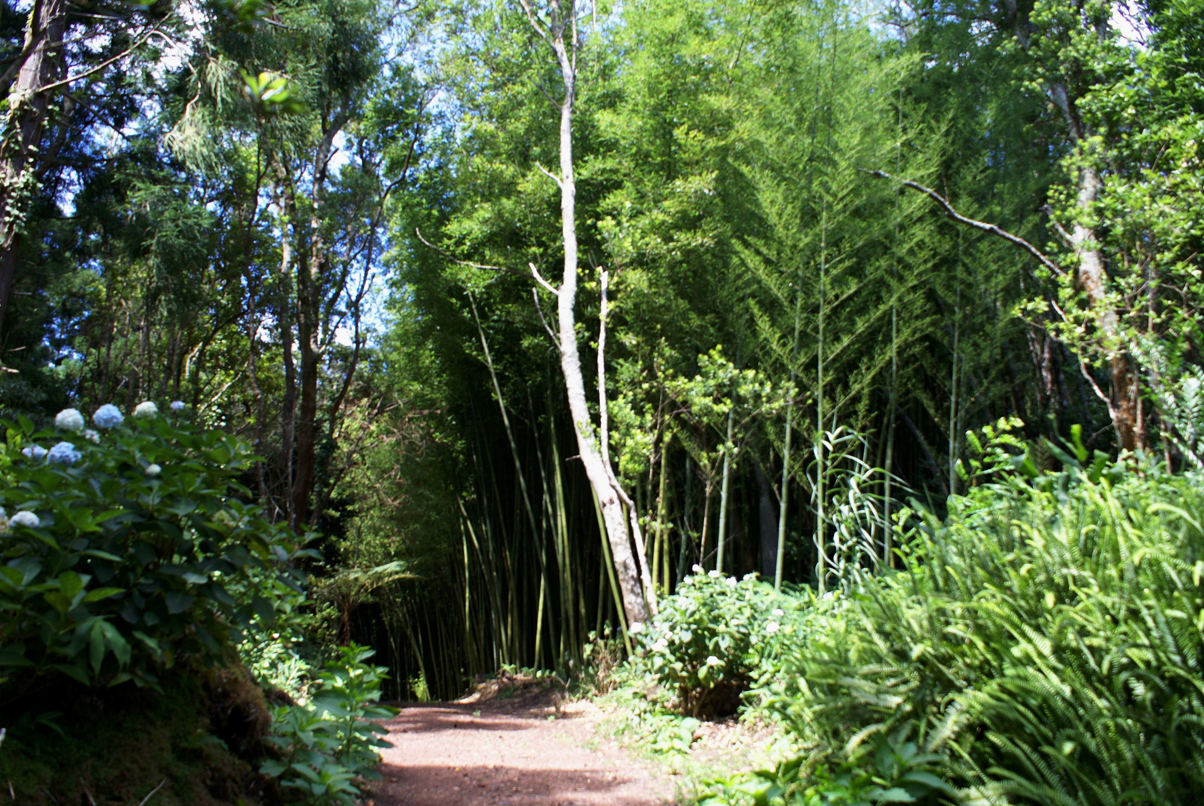 Reserva Florestal de Recreio do Pinhal da Paz