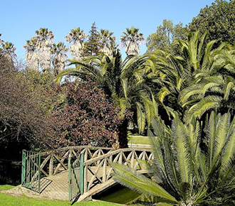 Jardim Botanico Tropical