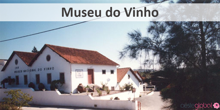 MuseuVinho_OesteGlobal