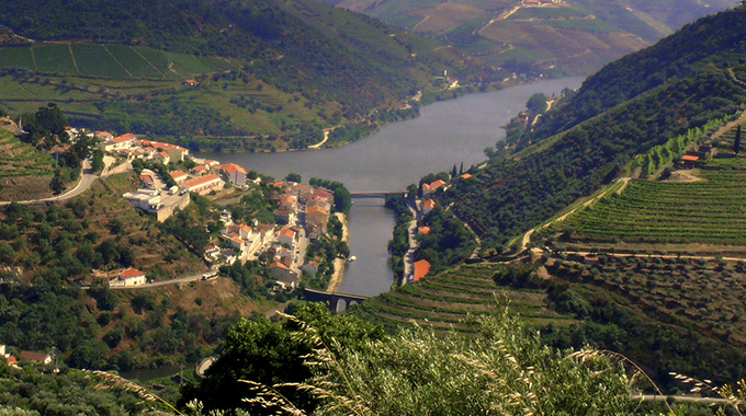 Alto Douro vinhateiro1