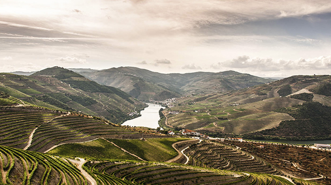 Douro Valley1