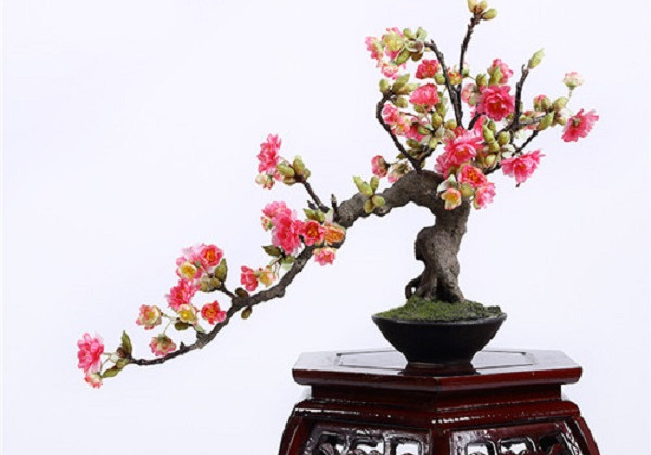 artificial-cherry-blossom-bonsai